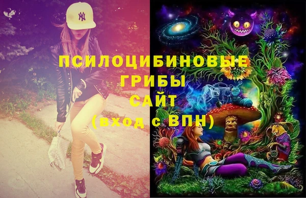 крисы Михайлов